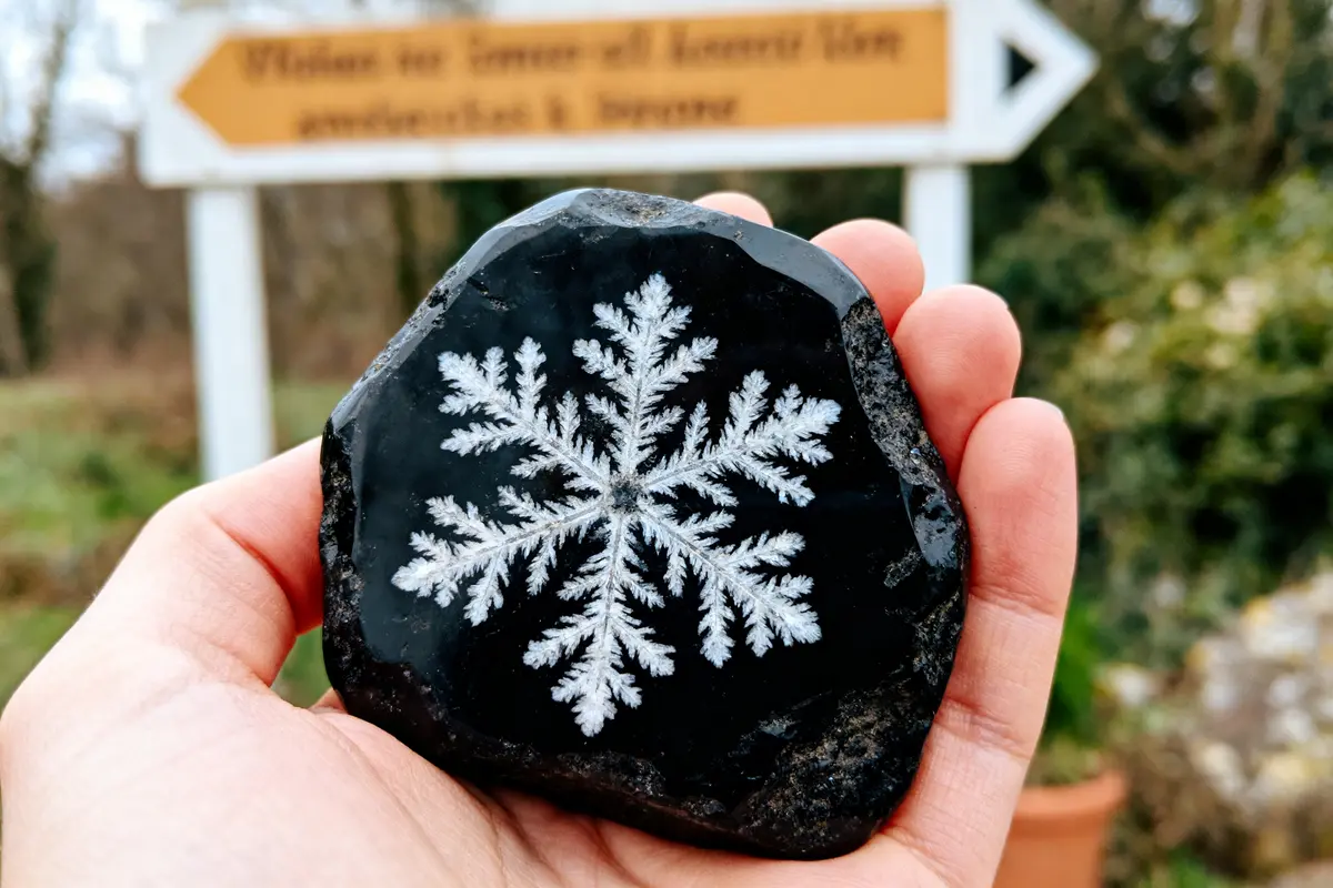 Main tenant une pierre noire avec un motif de flocon de neige blanc, arrière-plan flou.