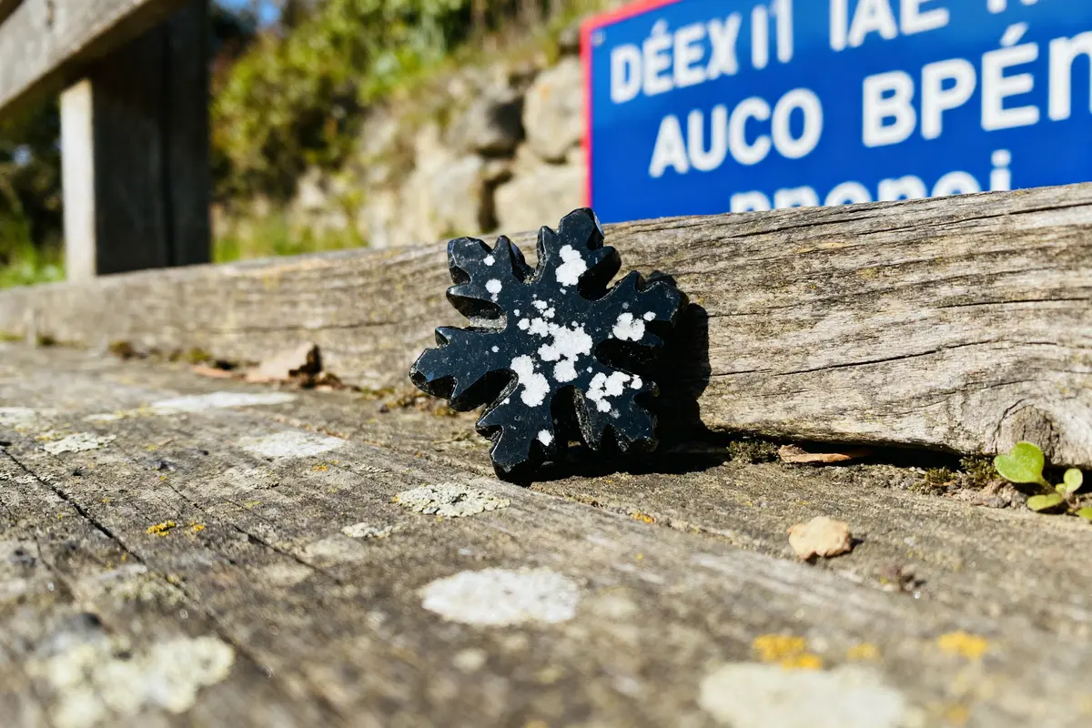 Fleur noire texturée posée sur une table en bois, panneau bleu flou en arrière-plan.