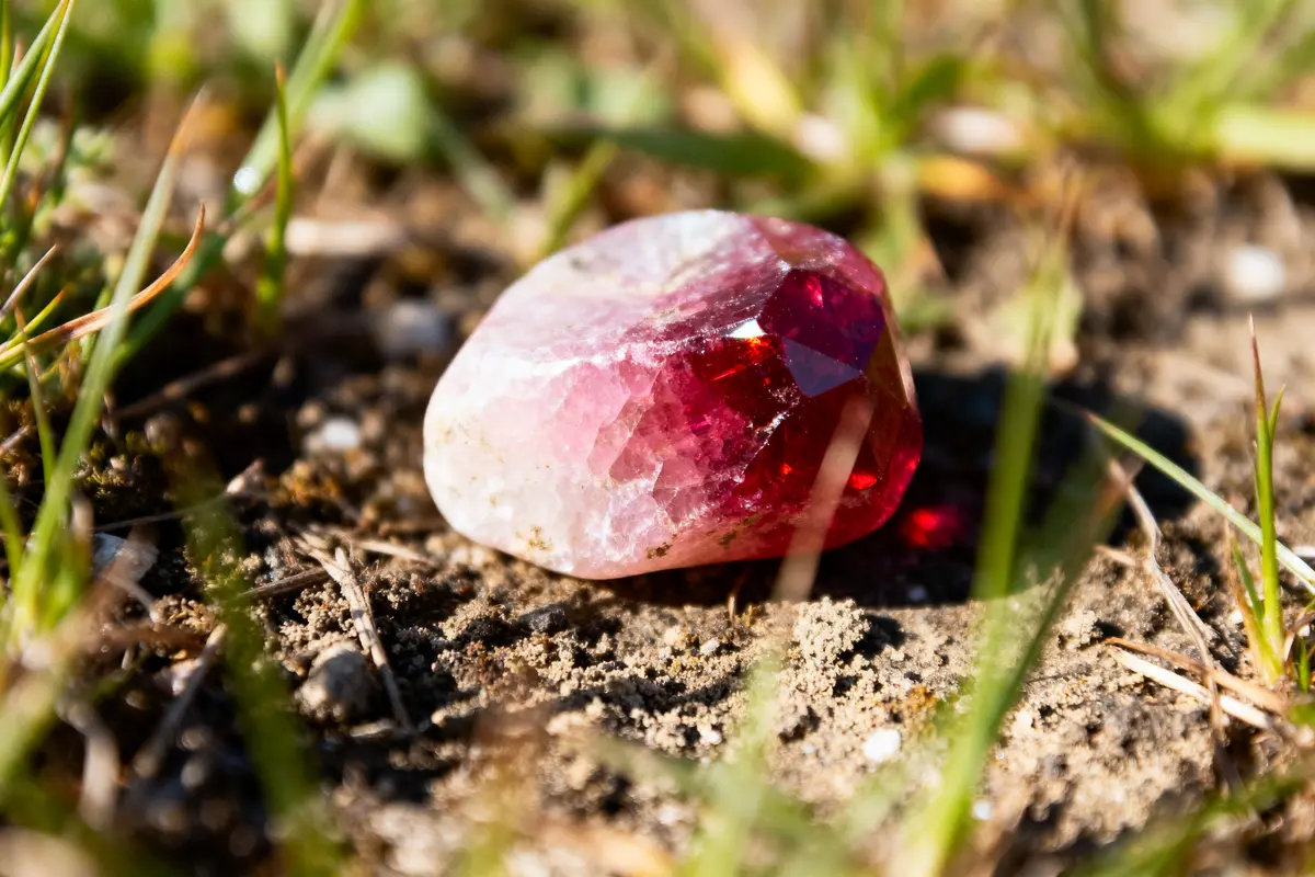 Pierre précieuse rouge facettée posée sur le sol entourée de brins d'herbe.