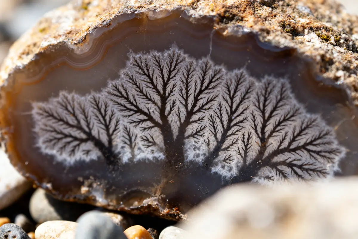 Agate arbre : vertus, propriétés et bienfaits en lithothérapie